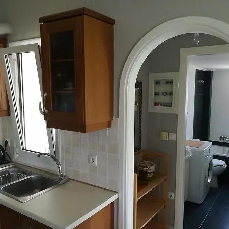 Apartment Vkastri *